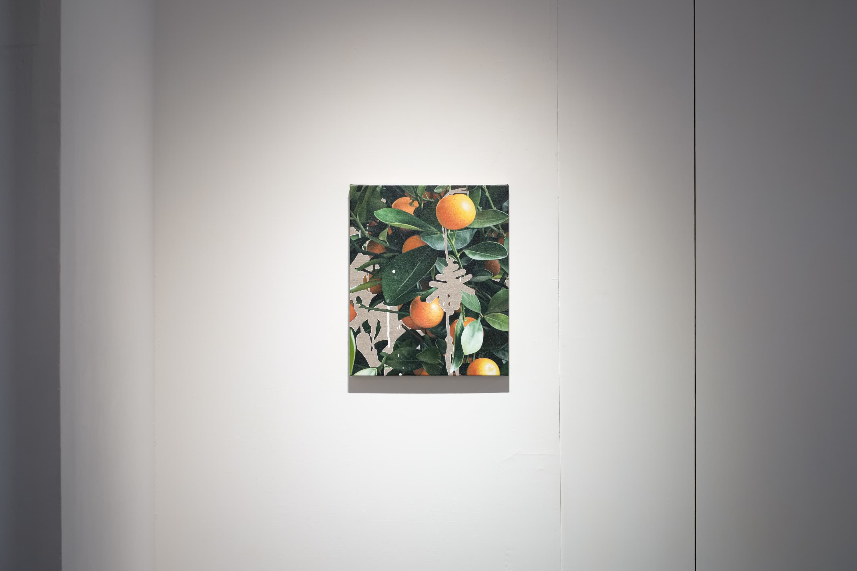 210904122013 mini sRGB 網路