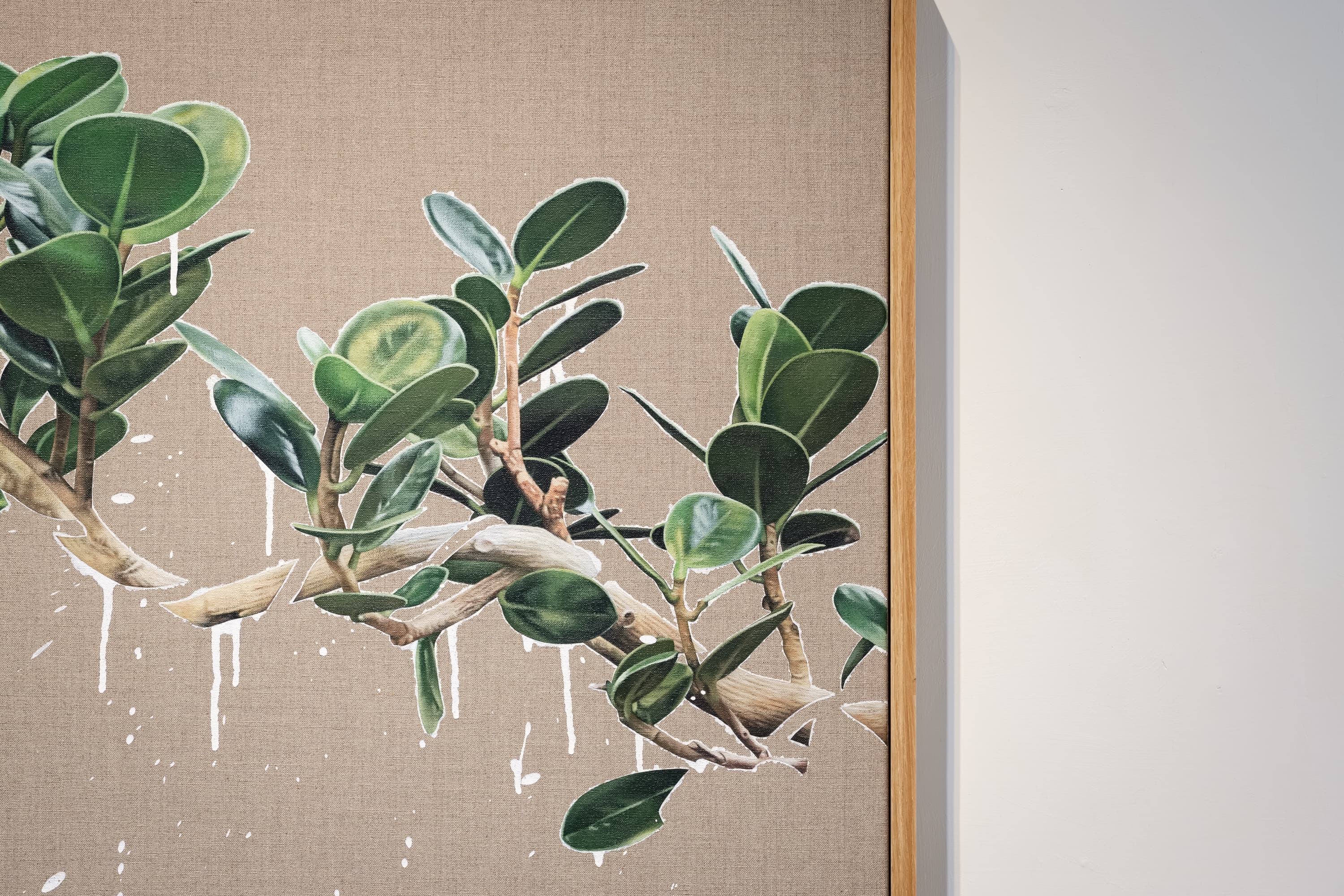 210904122731 mini sRGB 網路