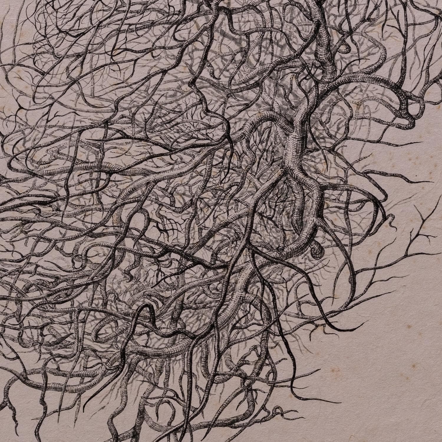 230309150417-mini-srgb