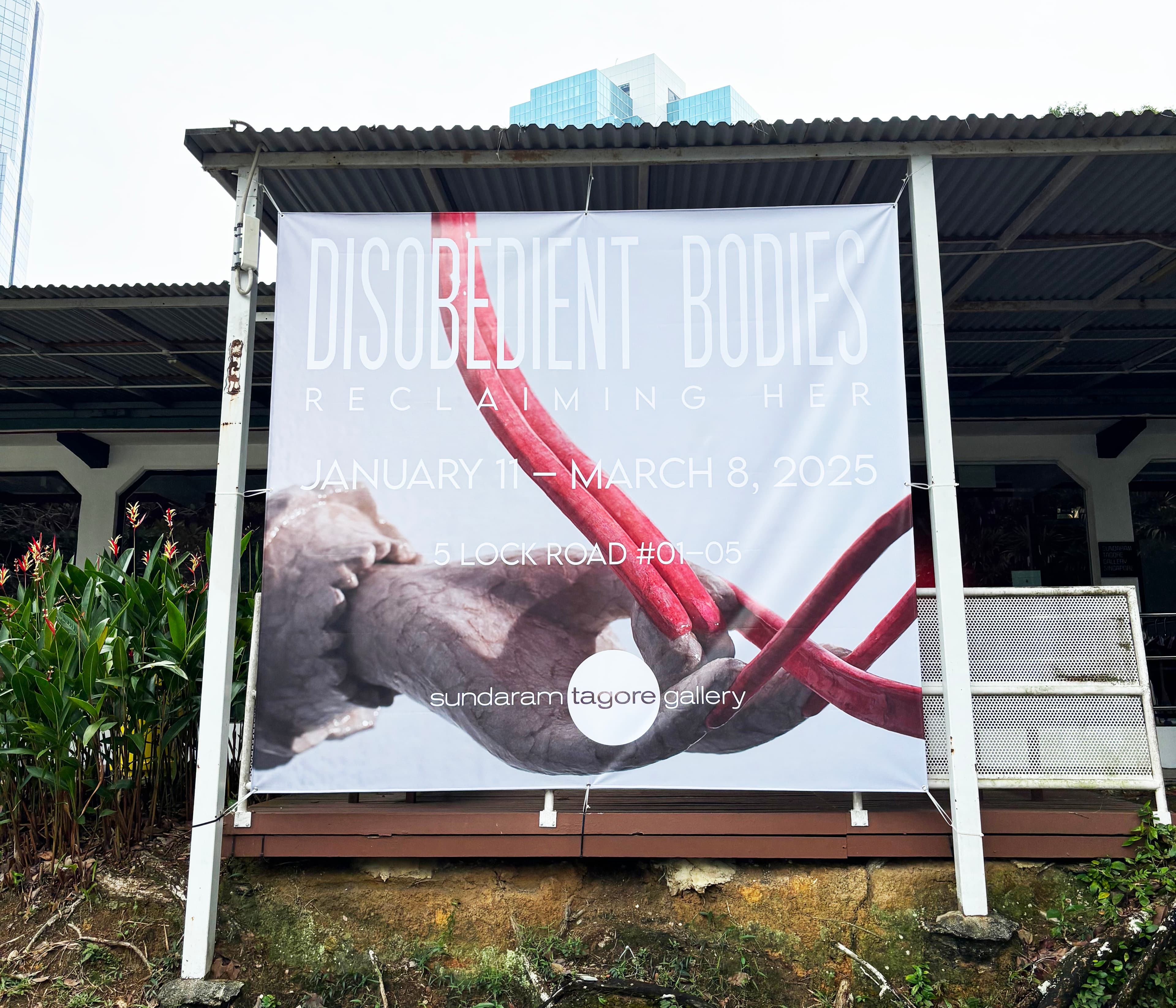 Disobedient Bodies: Reclaiming Her- Sundaram Tagore Gallery