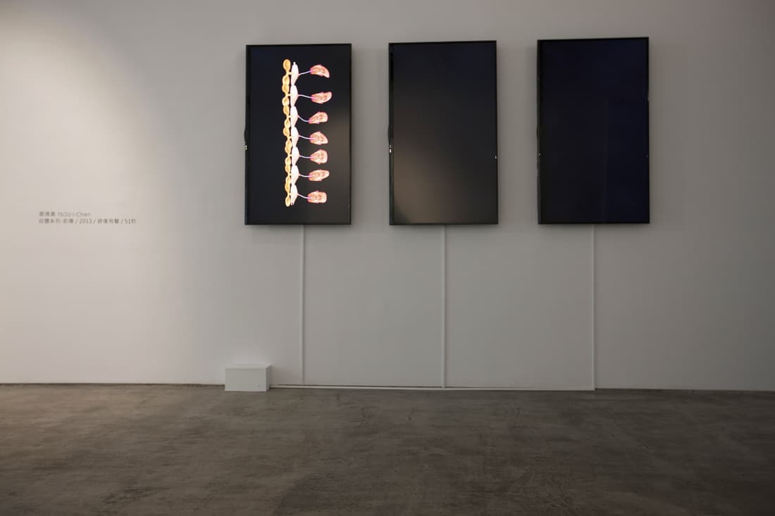 自體系列 三頻動畫