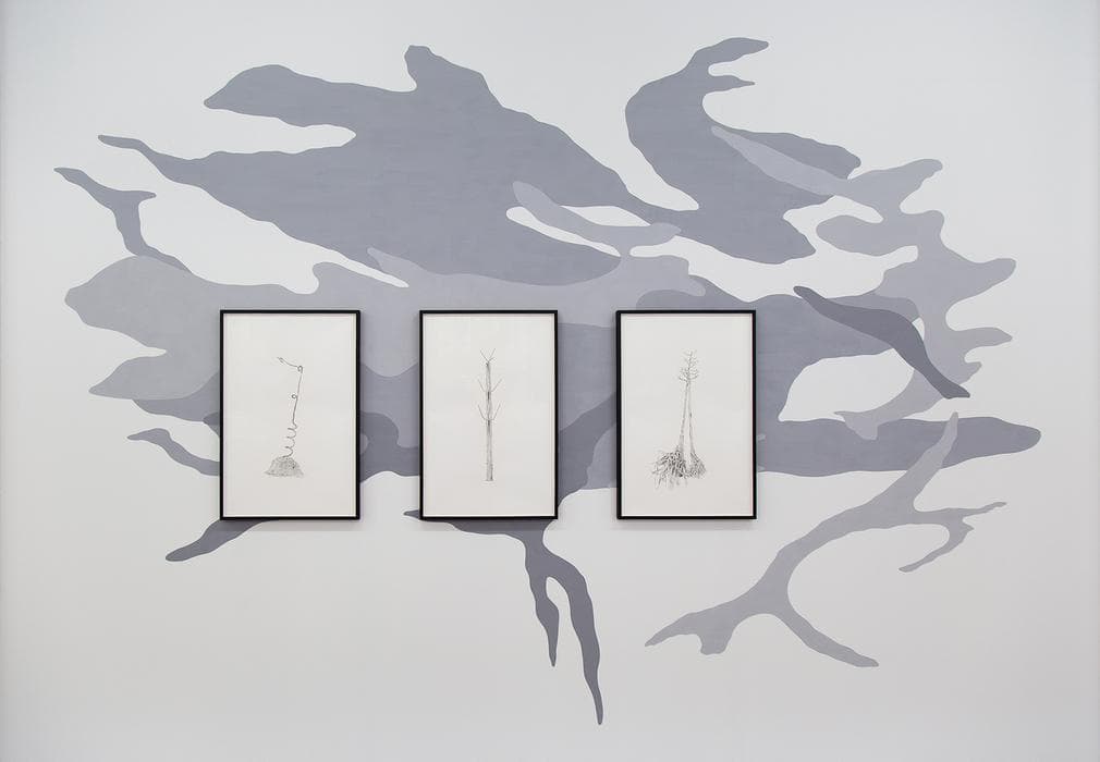 一座邊界島嶼的防禦圖鑑