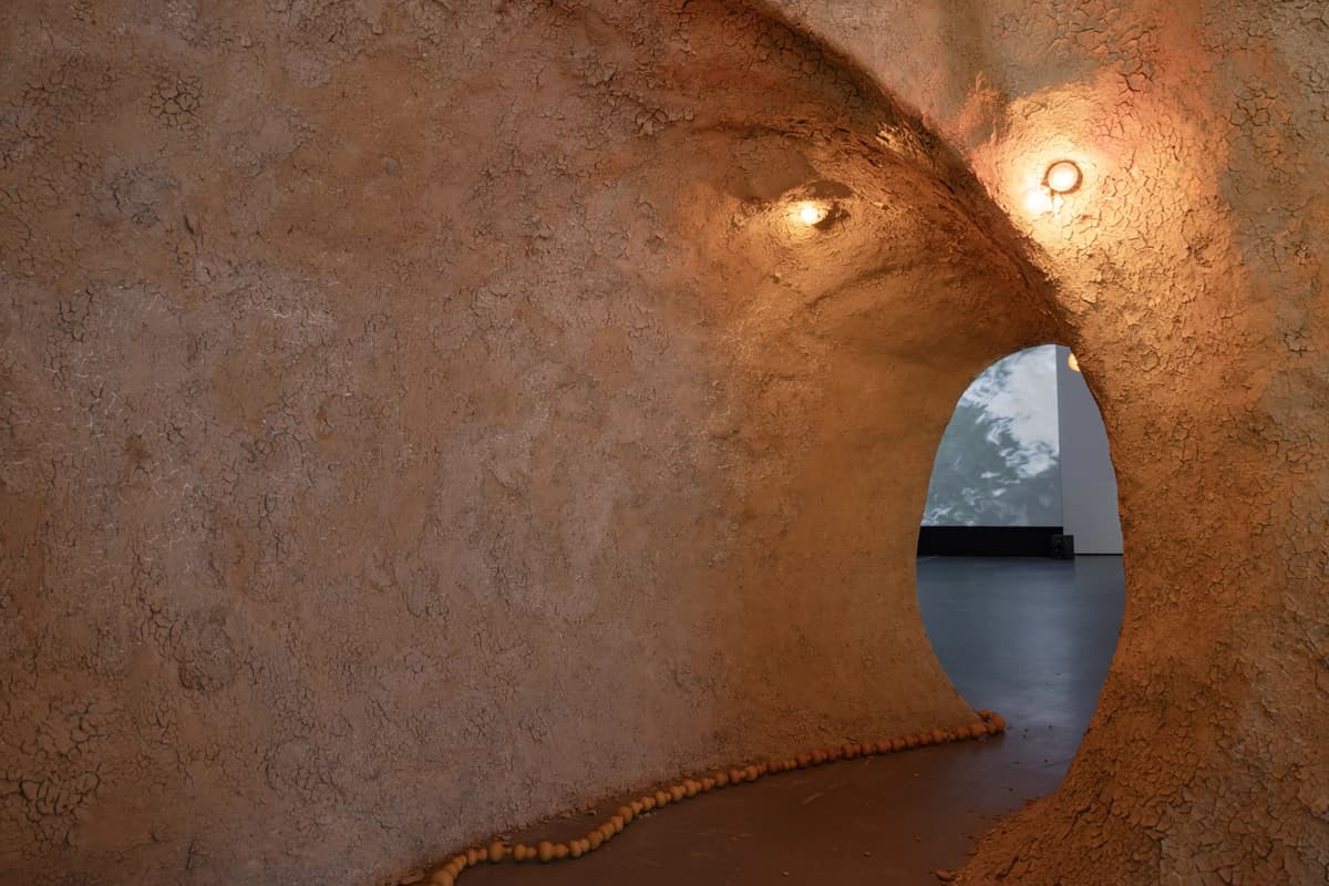 5578a16d-52f8-4fe1-a865-168c75ec8524