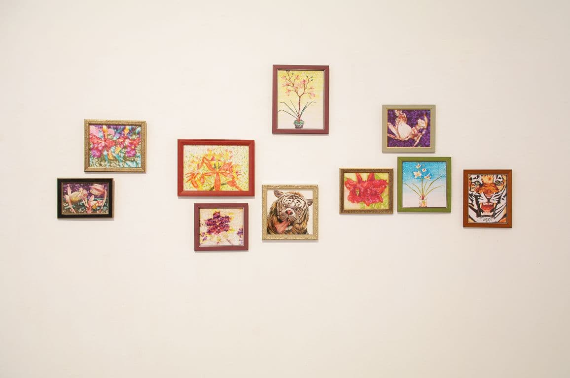 6429967219_39d4b402ea_o