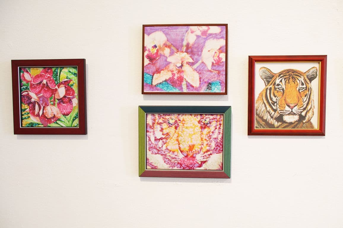 6429968031_9e494db5cc_o