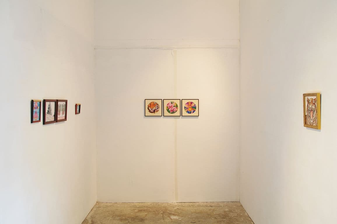 6429968423_cee5732fa8_o