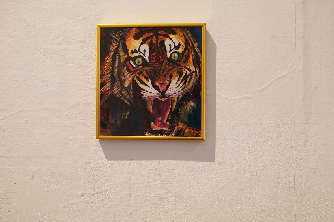 6429968967_605e2b79cb_o