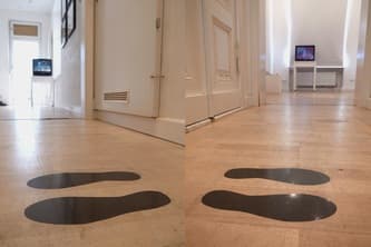 To kill two birds with one stone