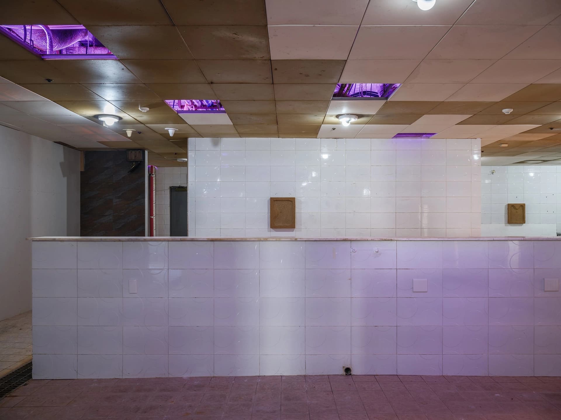 8a899131-f481-47d4-803d-63a004d27f30