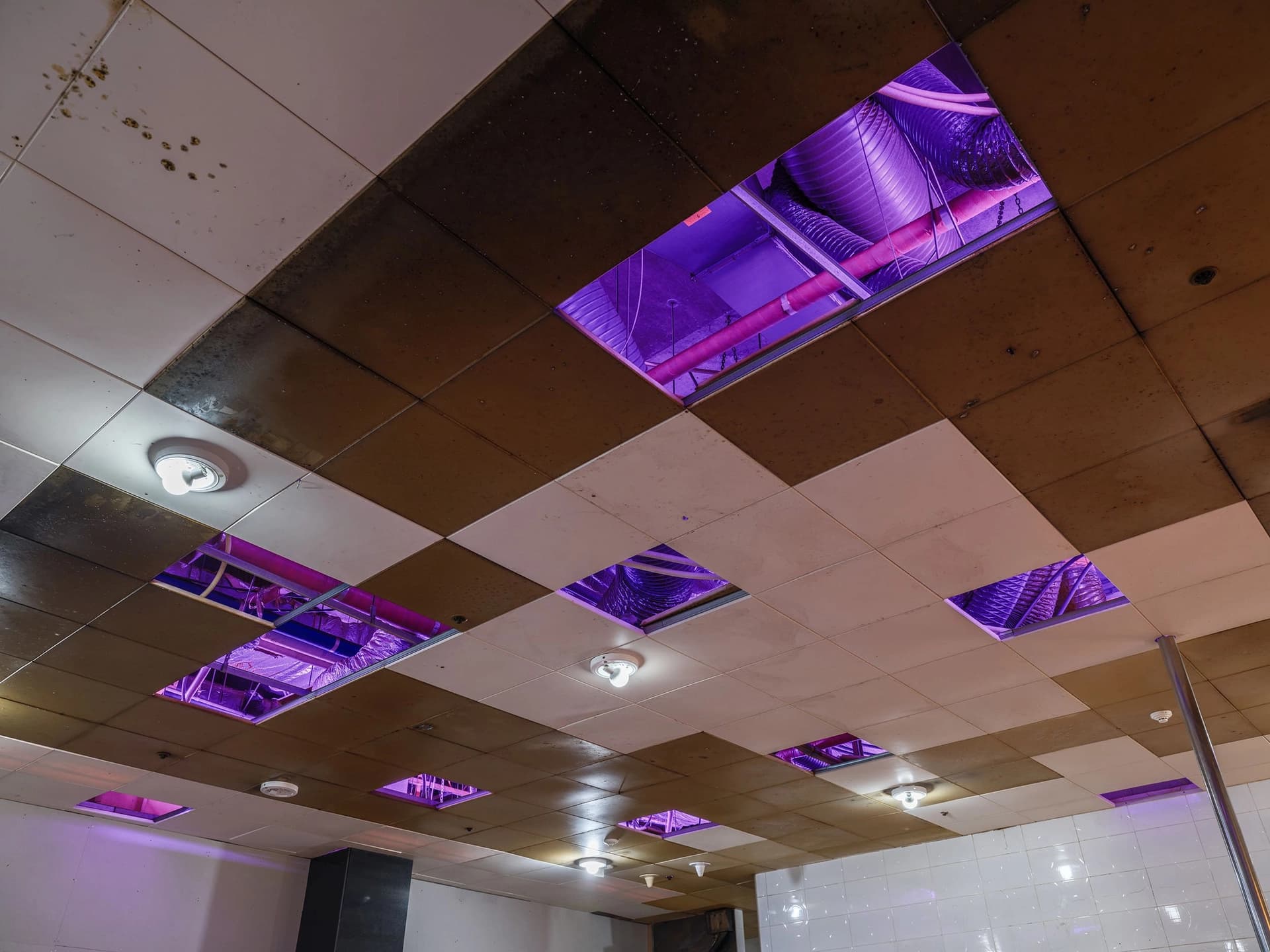 914e0968-2072-41dd-a922-d728005d98f9