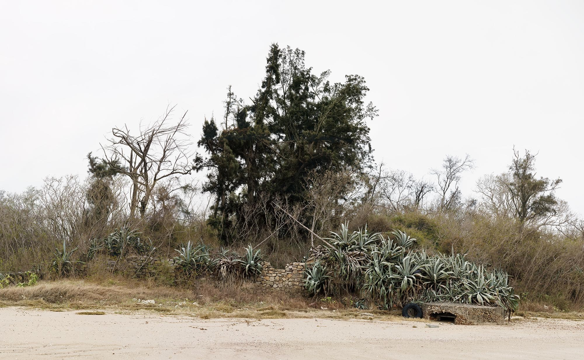 歷史造景 - 十字 II