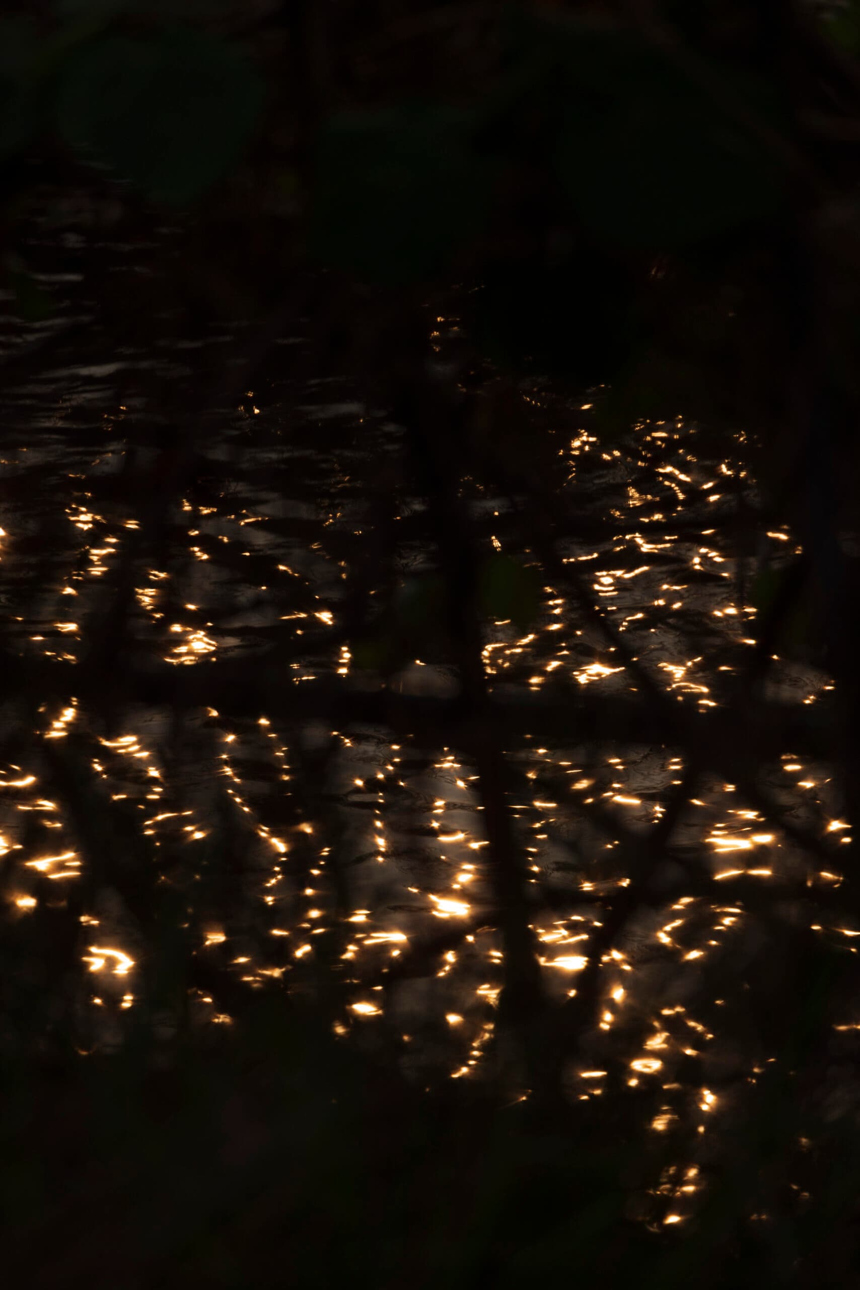 Dance of the Void（Aqua）