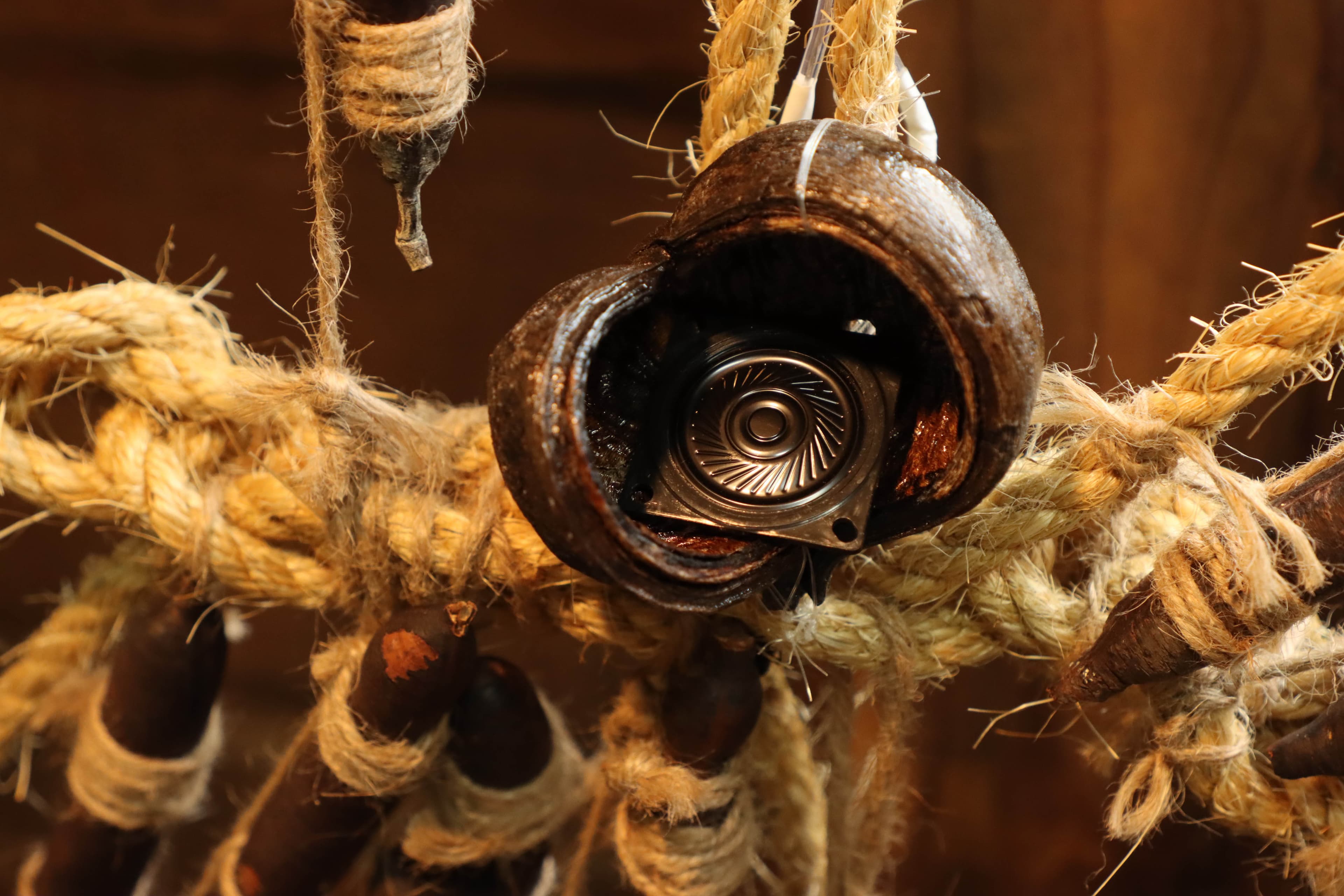 IMG_0201_調整大小(1m)