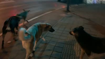 IMG_8038.MOV_20250325_232358.374