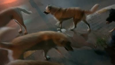 IMG_8038.MOV_20250325_232443.636