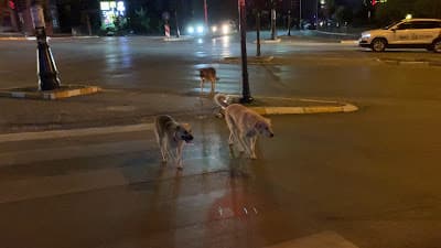 IMG_8038.MOV_20250325_232522.561