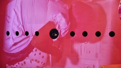 愛麗絲的後花園