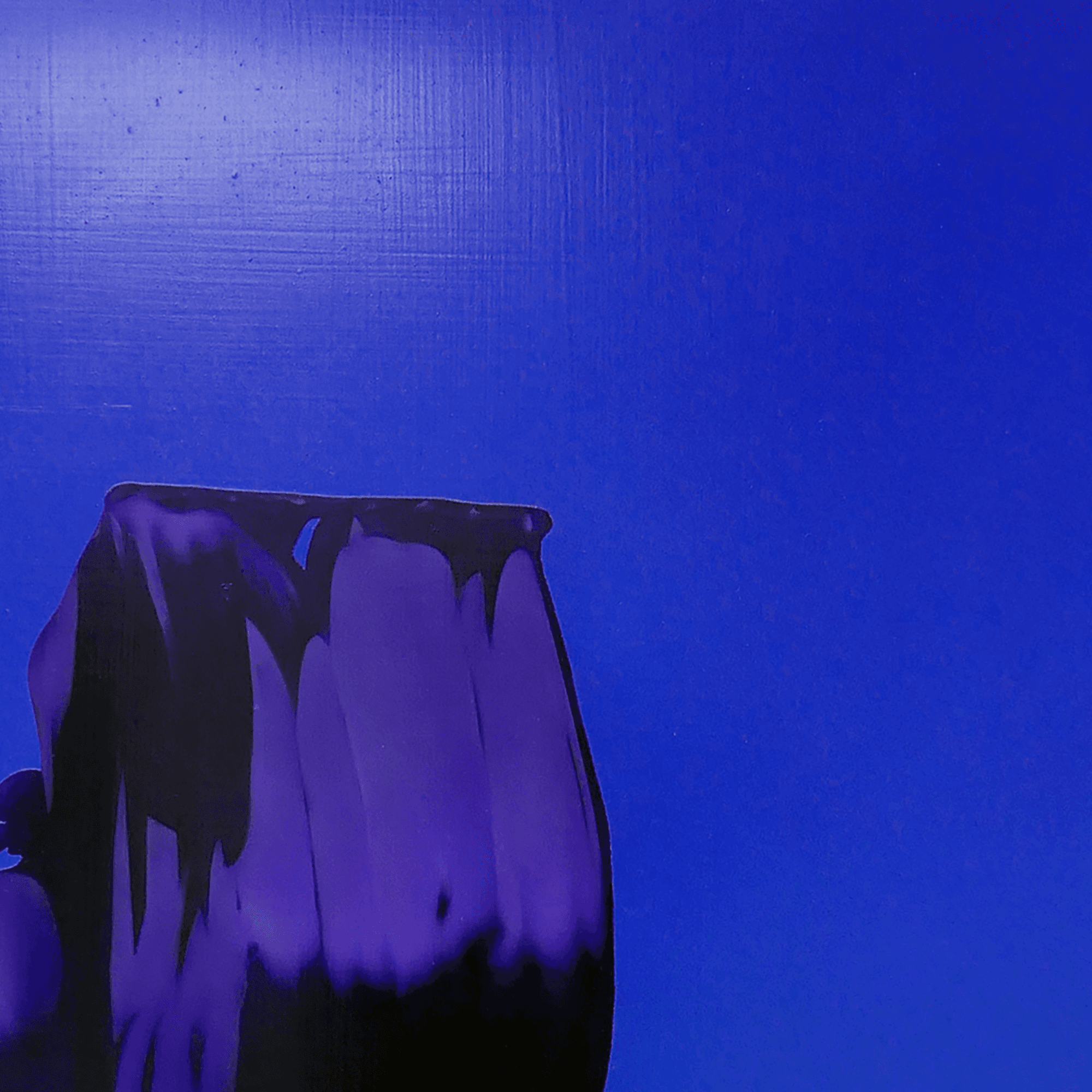 Untitled (image 42)----