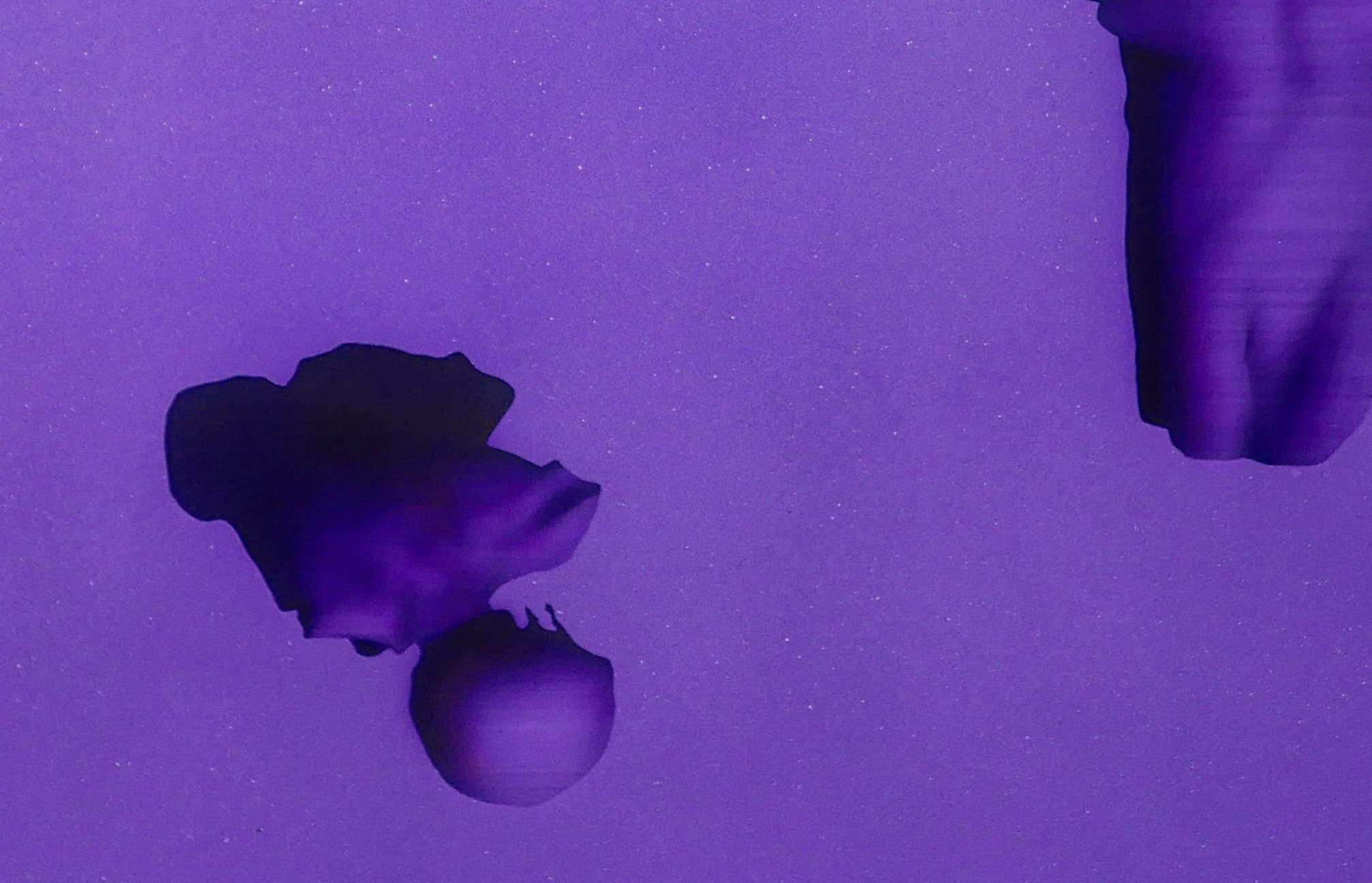 Untitled (image 51；sun bathing)(局部1)