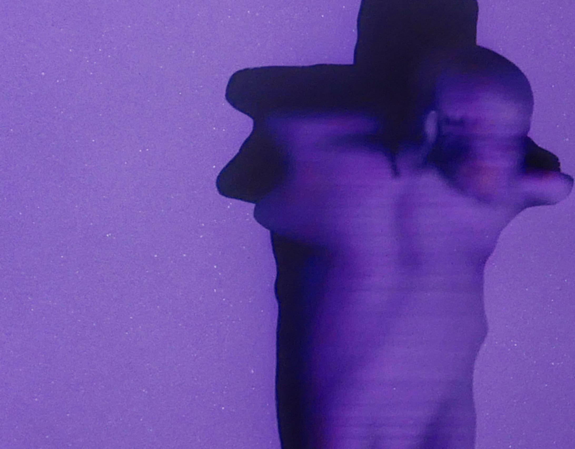 Untitled (image 51；sun bathing)(局部2)