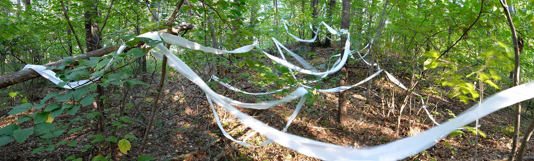 Sculpting in Time - White Writing