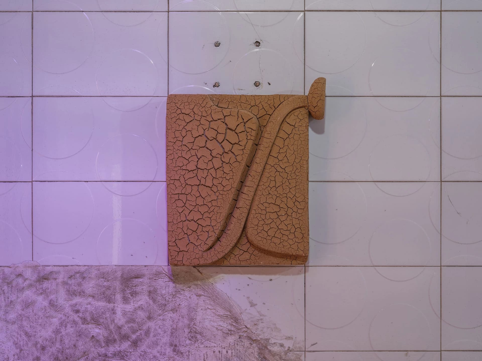 a11cd3a7-44f6-4fd1-8fe4-29d871eea260