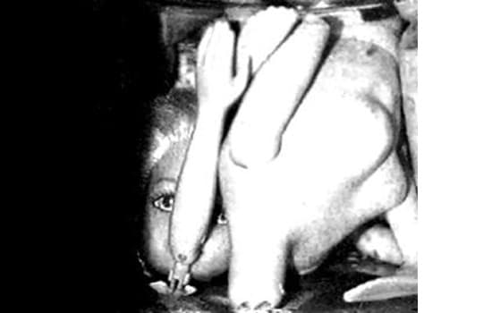 獻給自己的作品