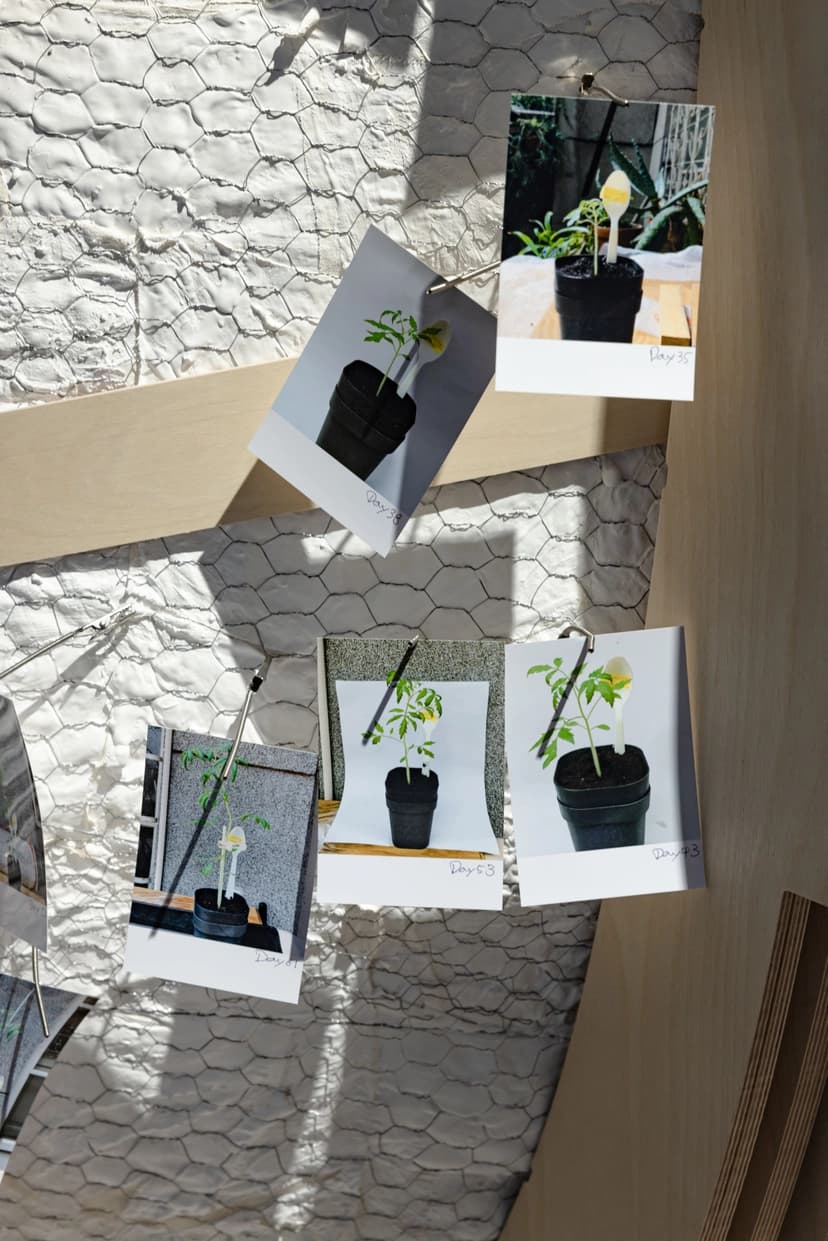 d7b8e33b-5600-4c02-abcf-d7c1d03687a9