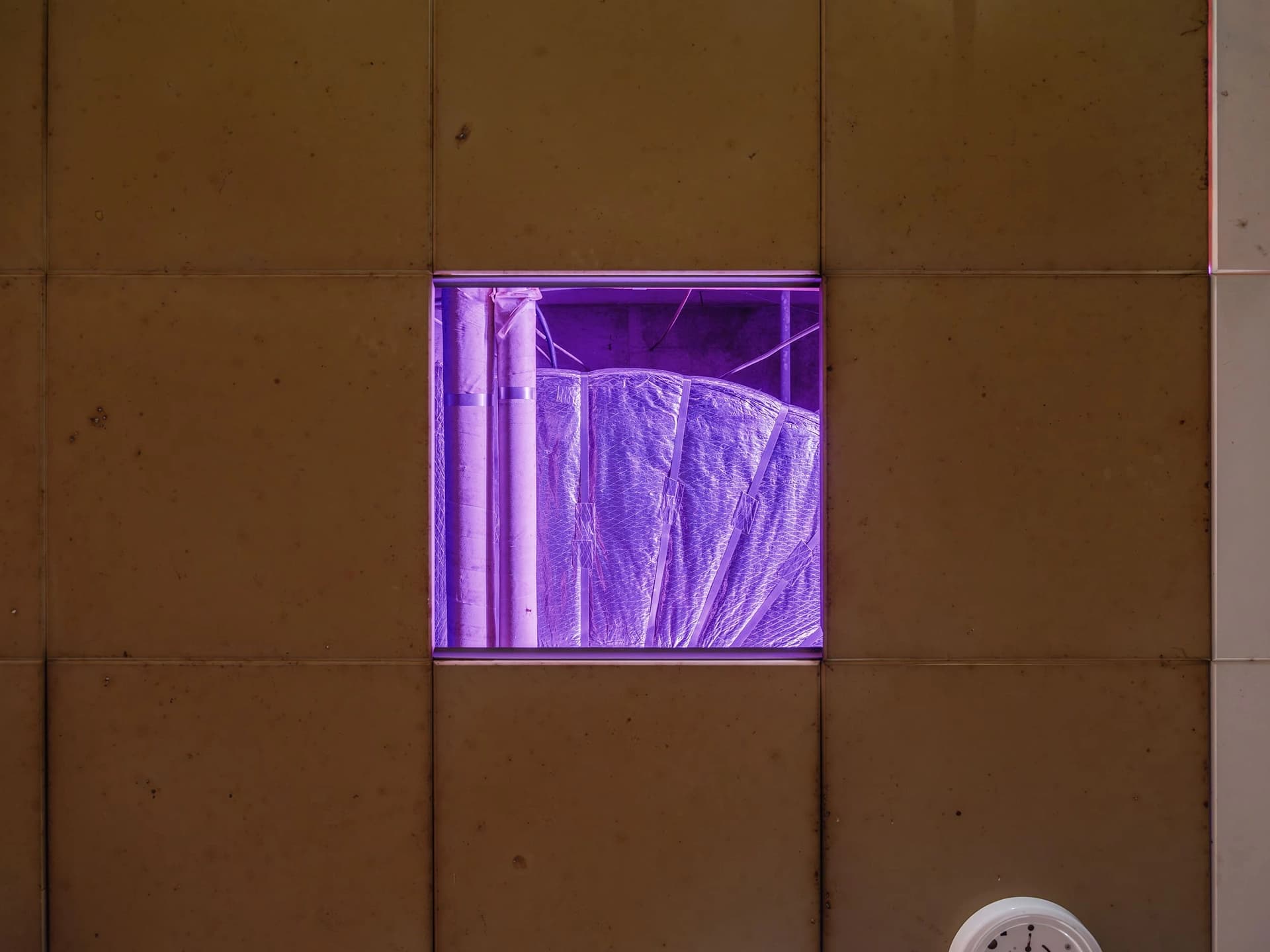 db9ad4f5-7e61-4b7b-8b5b-46fbe04e9650