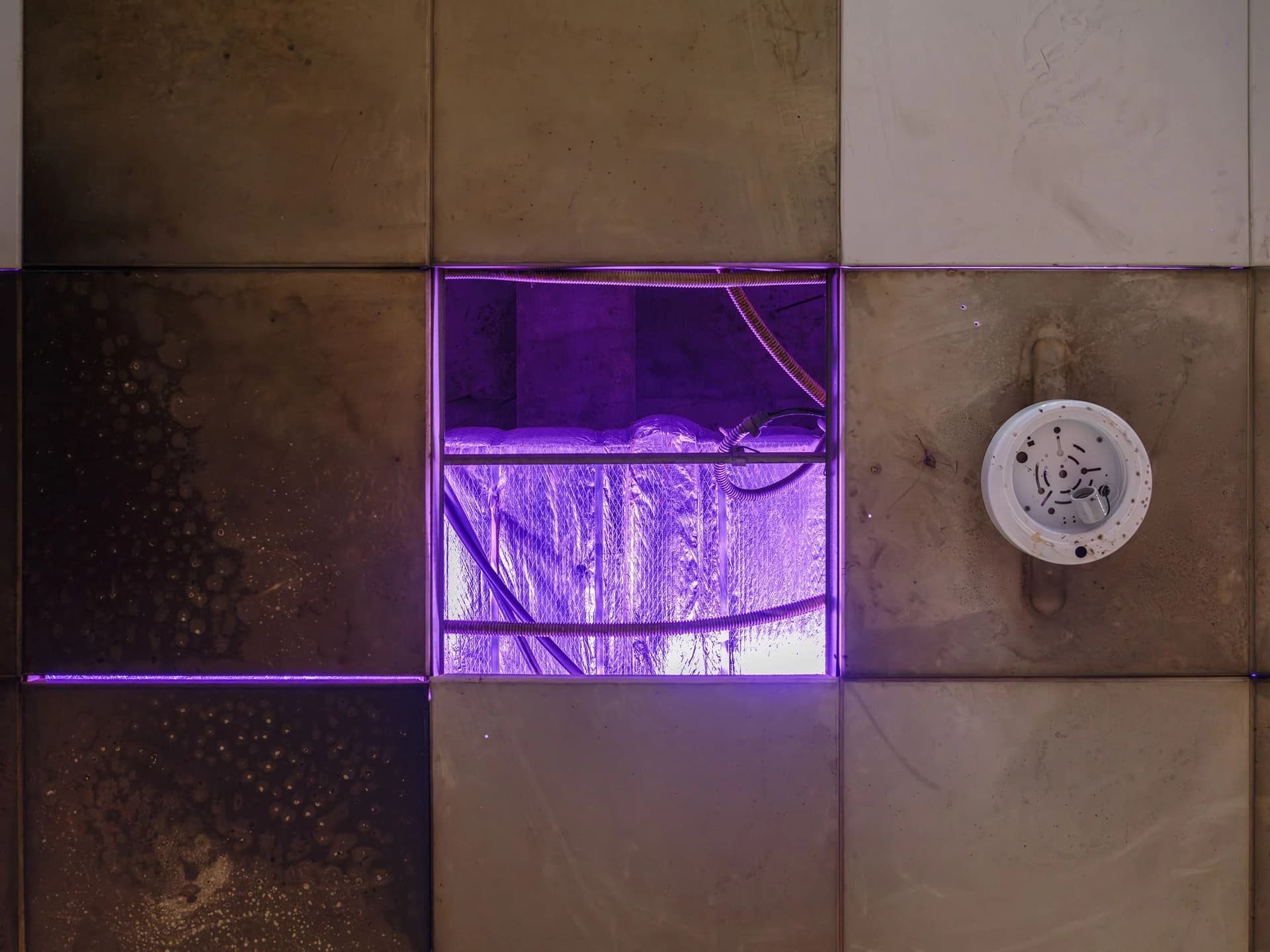 e2ce995b-a019-424d-a19b-ca01d8463164