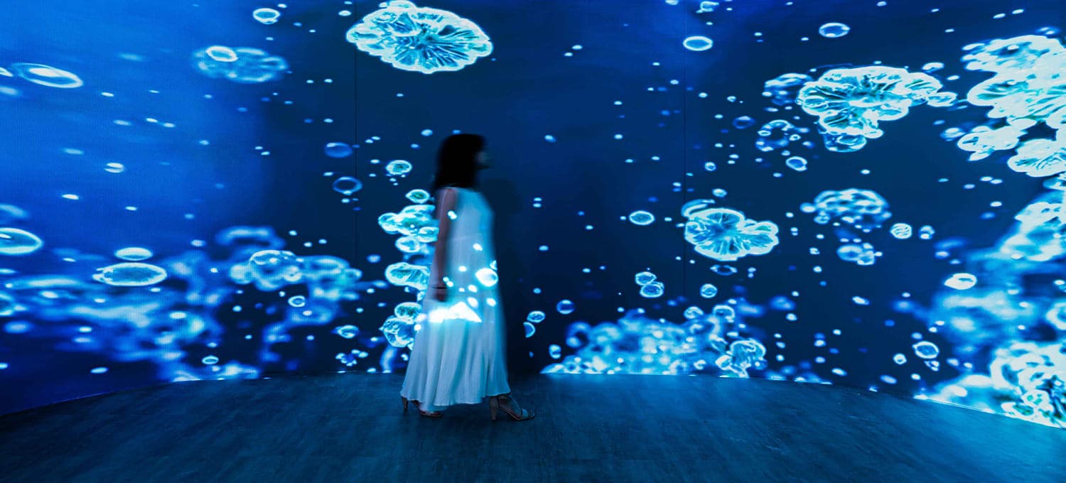 hello-cover_12929f254