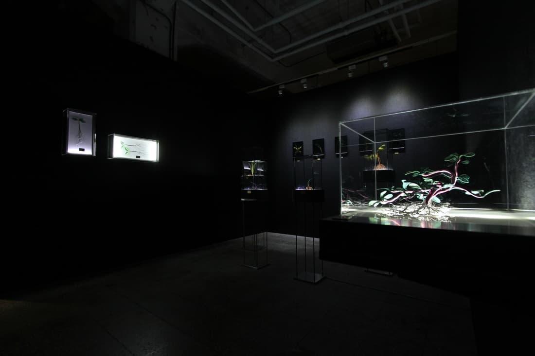 綠體記憶術—田邊與家栽系列