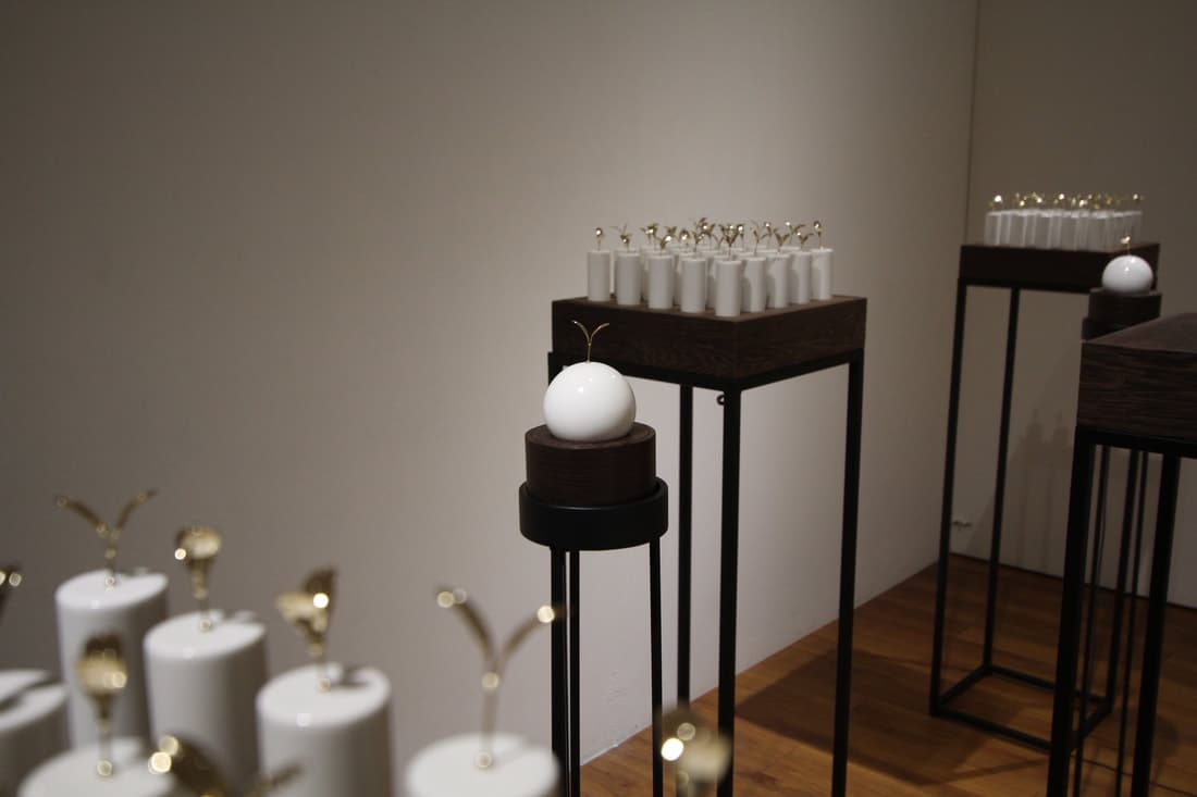 牆隔神農│共生苗-儲存（金）