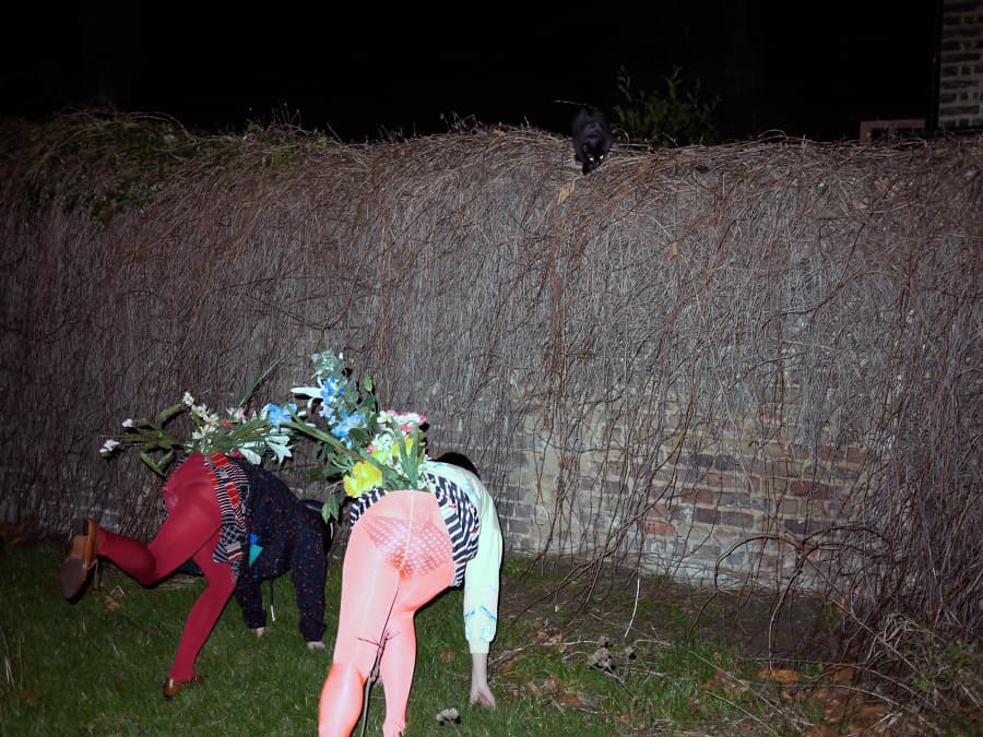 plastic-flower-3_900