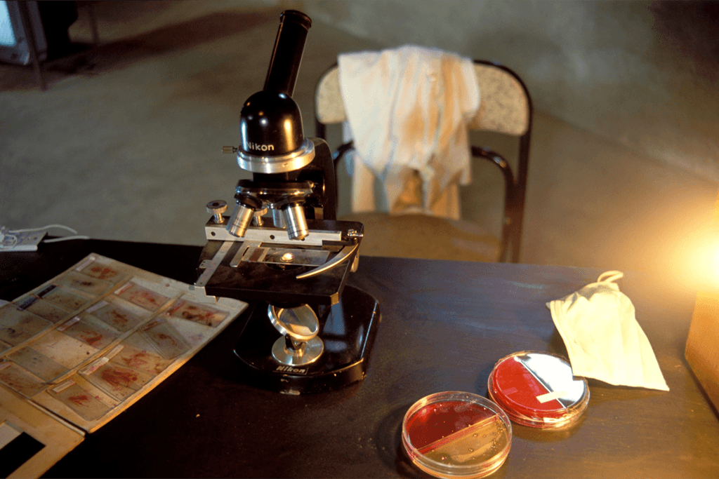 「操作記憶」I - 再”見”酵母菌