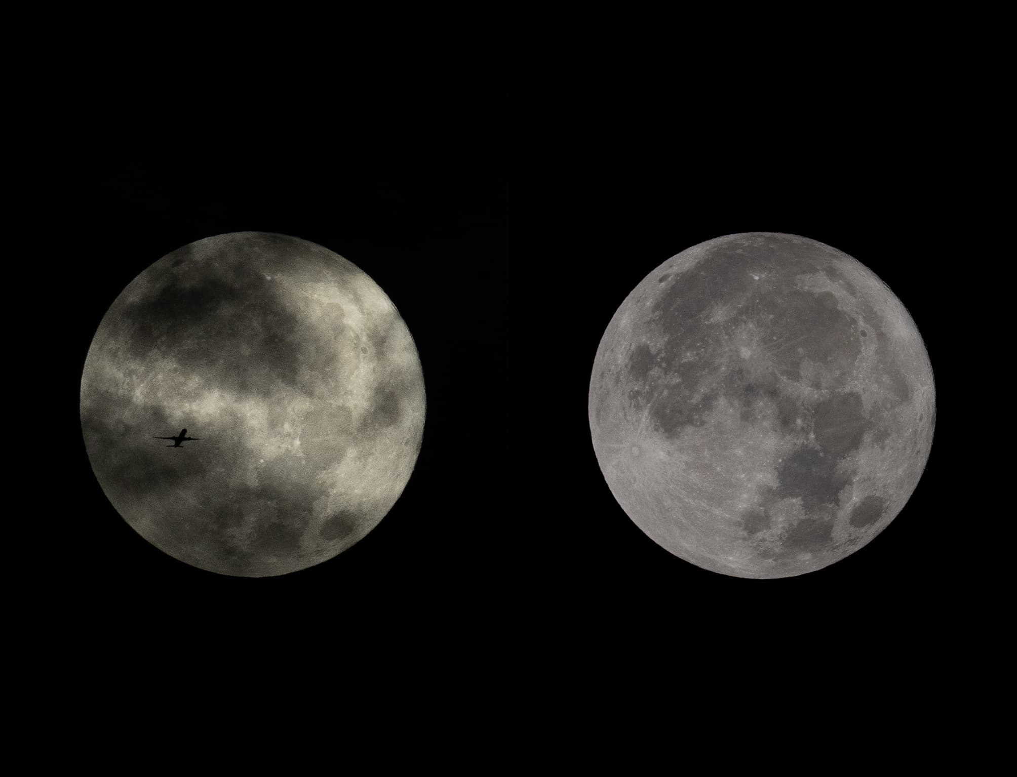 Dance of the Void（Nature swatches）