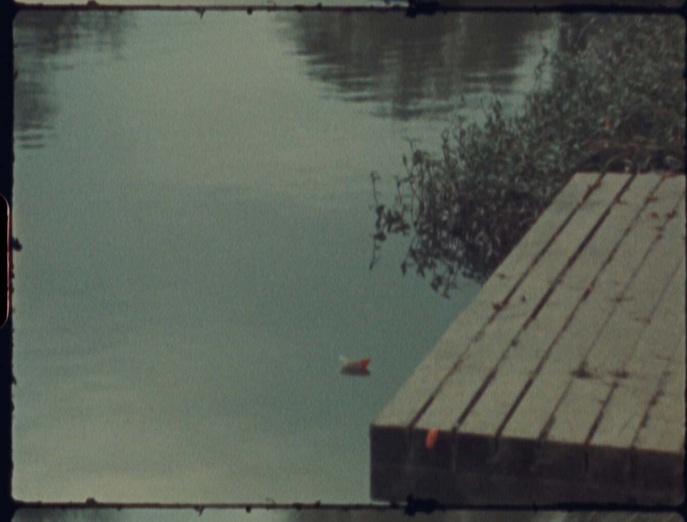 this-shore-still3-s_1340_c