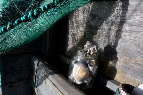 tumblr_inline_sg598mdPxz1qce12m_500