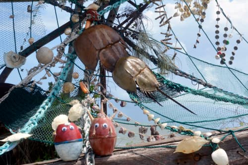 tumblr_inline_sg59dabl631qce12m_500