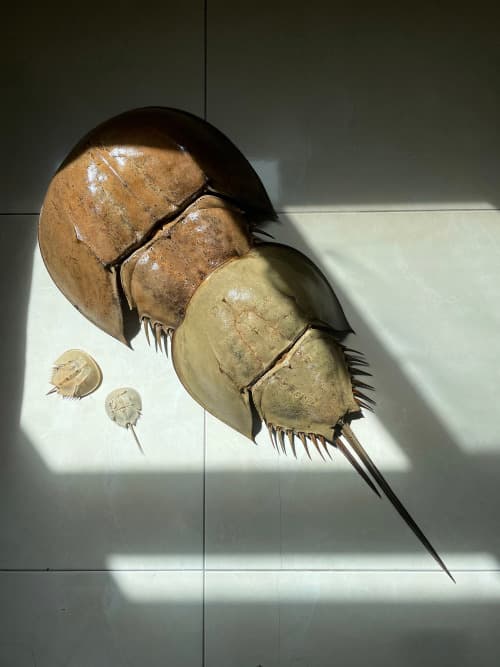 tumblr_inline_sg59e0te1T1qce12m_500