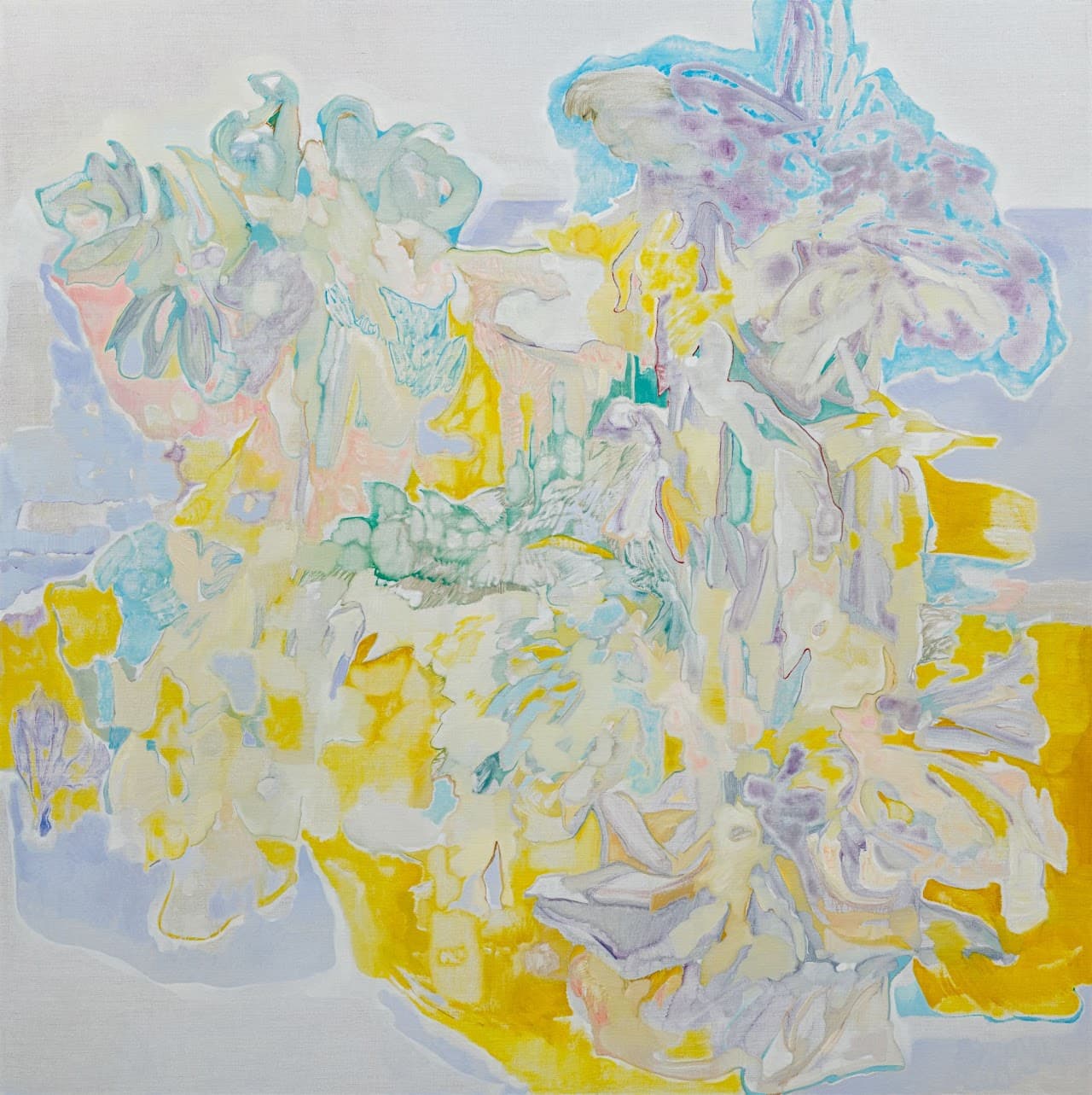 整理羽毛的孔雀