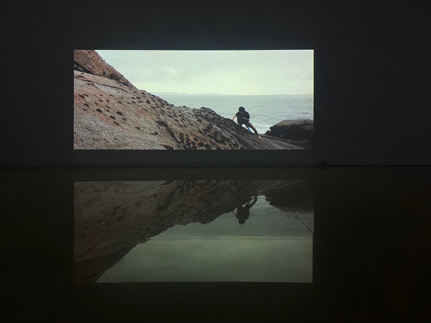 滅絕物種的生活模式－第三部曲：妖魚獺誌