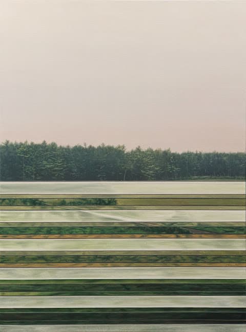 有白色條紋的風景