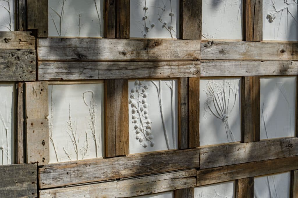 植物誌轉印術-給離鄉族人的備忘錄