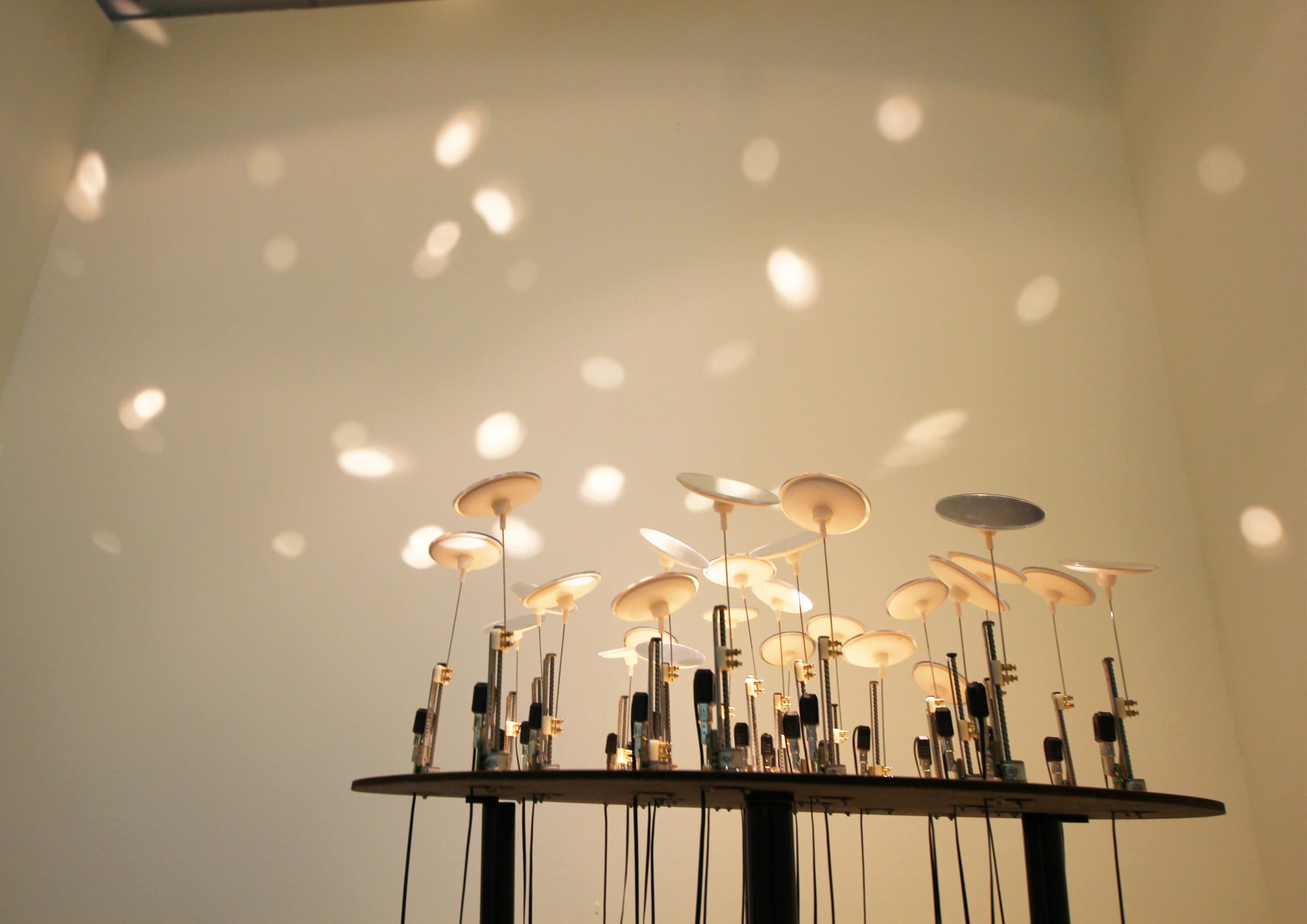 聲機勃勃Ⅱ-共生