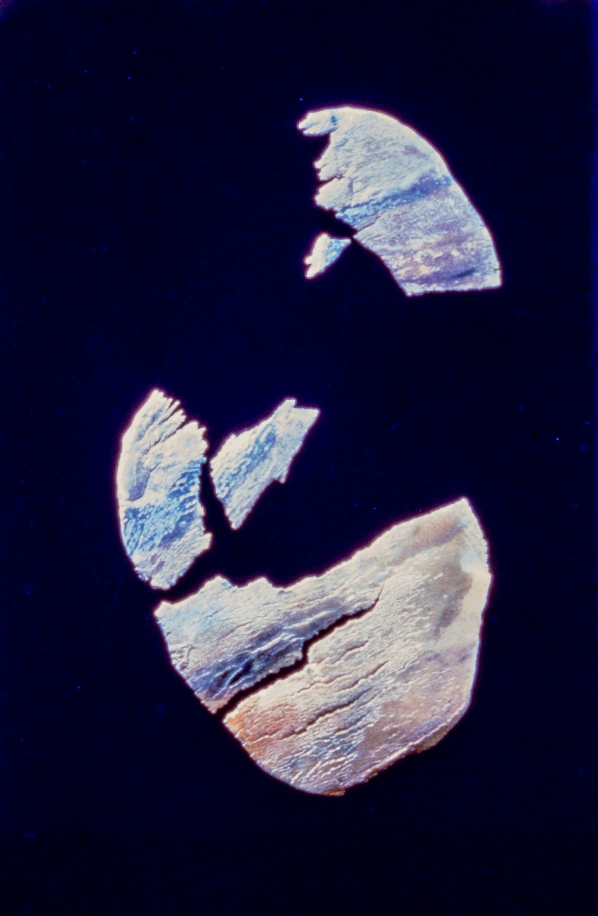 無題(宇宙的一部分)