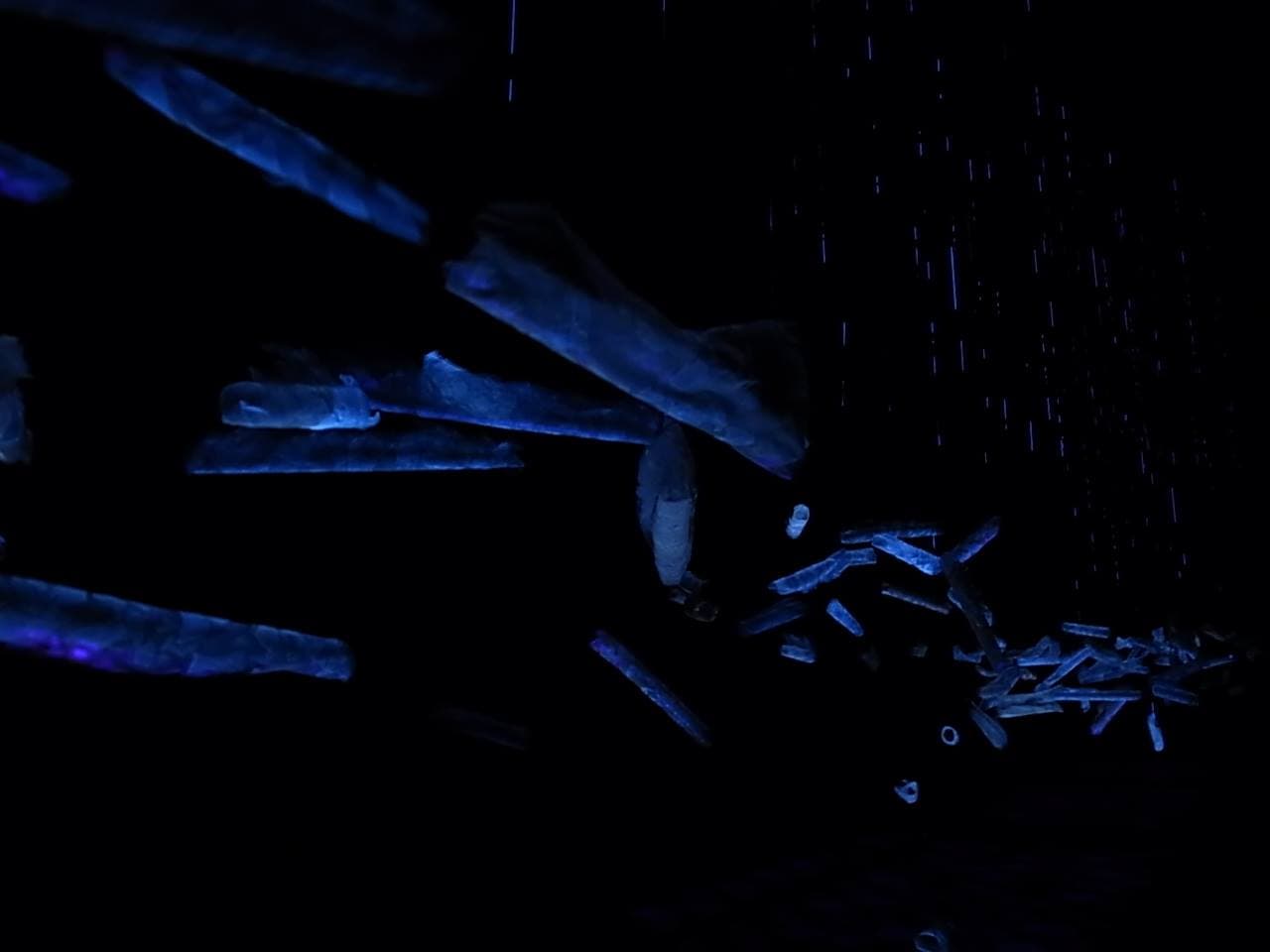 此曾在 There has been