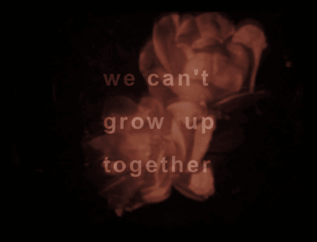 WE CAN'T GROW UP TOGETHER