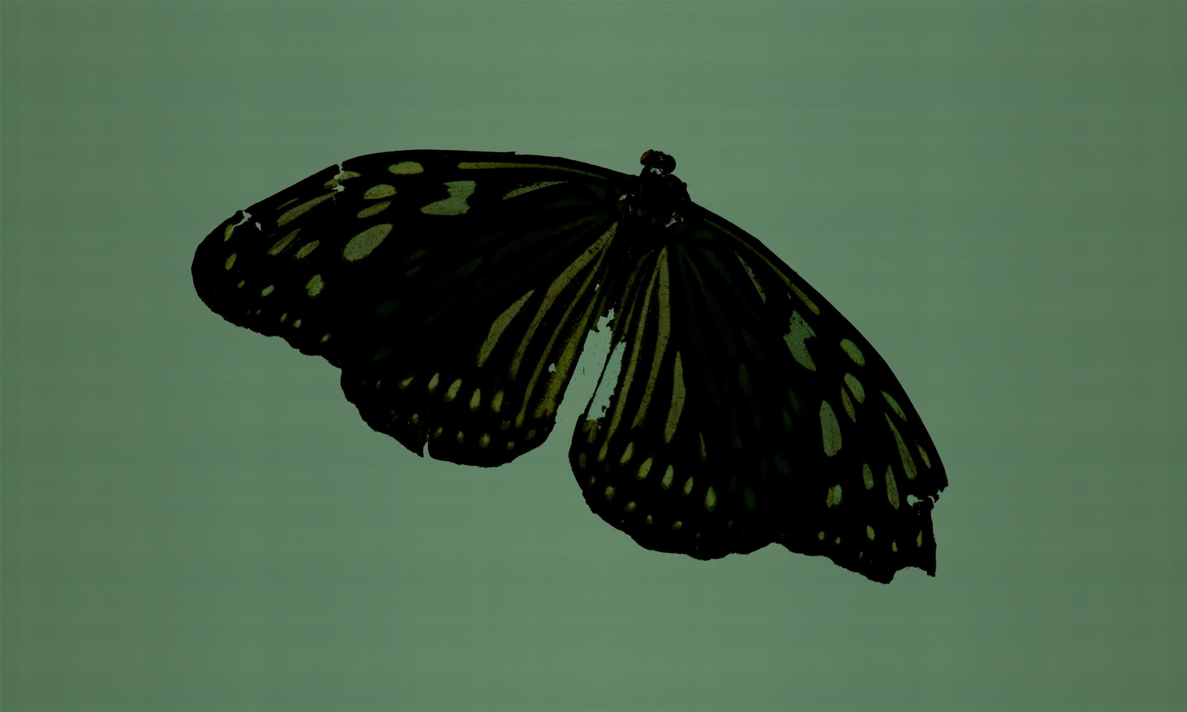 向死亡存在的召喚