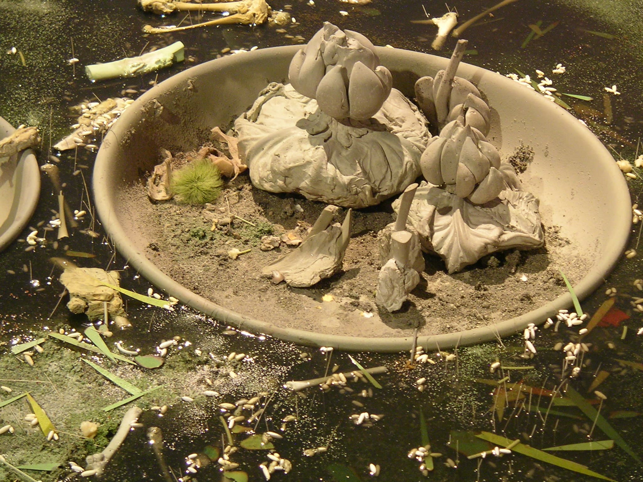 一萼‧一瓣‧一骨‧一吠影